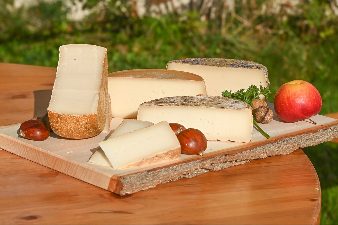 Schülener Geissenkäse