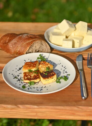 Schülener Bratkäse
